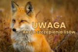 Obrazek dla news_1764